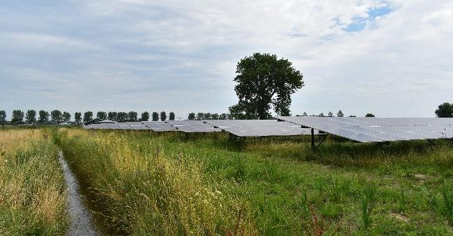 Zonnepark Ficarystraat, Ewijk